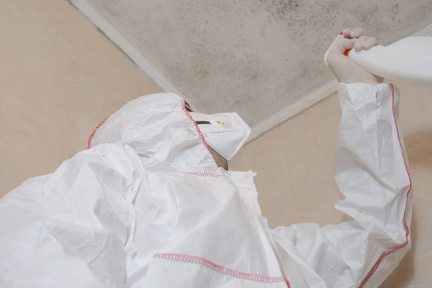 Best Residential Mold Remediation in Allendale, CA